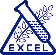 Excel